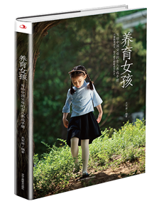 成焊華榮 等離子系列