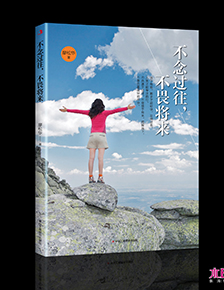 成焊華榮 等離子系列